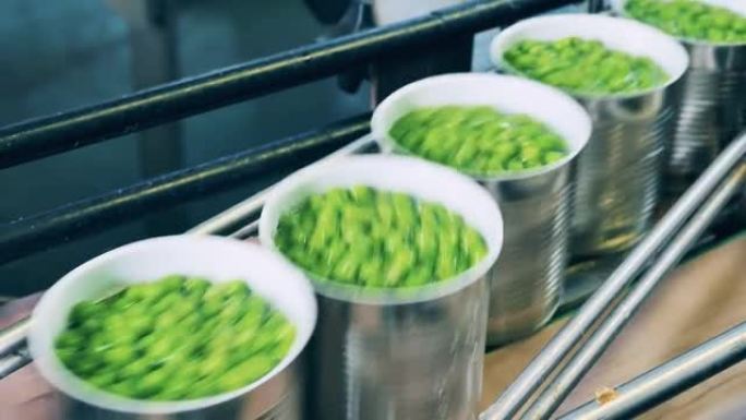 青豌豆在锡罐中的工厂运输。农产品加工，食品工厂输送机。