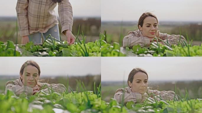 女人触摸和看着植物