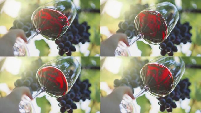 品尝红酒。一杯红酒在葡萄园背景下轻微摇晃。意大利的酿酒概念。慢动作镜头，4K