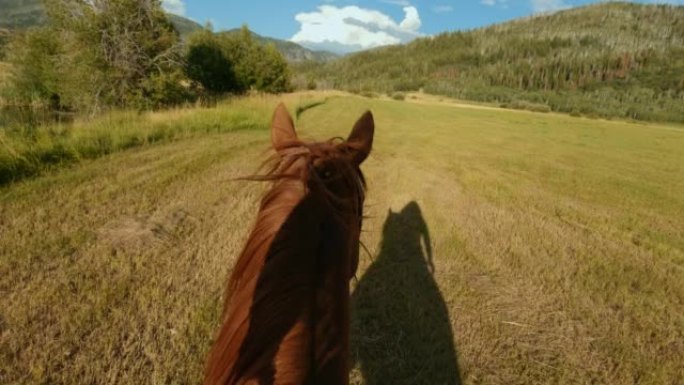 日落时骑马穿过草地的女人的视点镜头