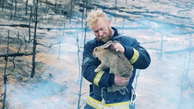救了消防员手中的兔子