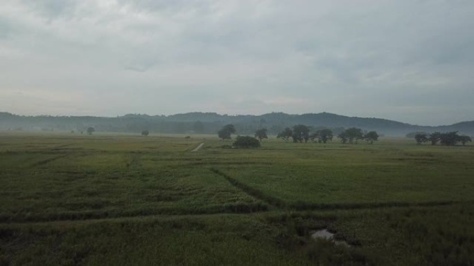 吉打浮罗交怡的晨景水田，雾气笼罩着古农拉雅山背景，云层覆盖着