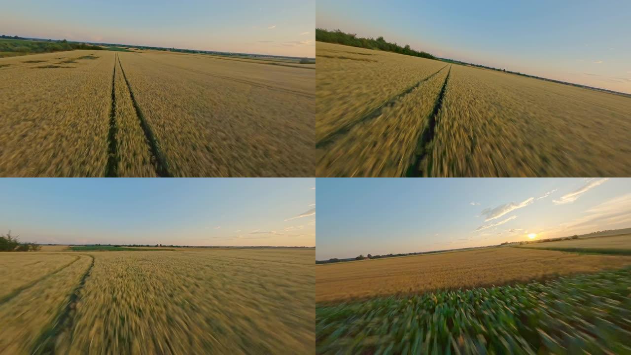 空中:日落时分，美丽的乡村中部农田