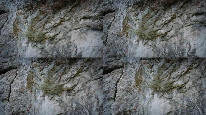 侵蚀的沿海岩石跟踪镜头