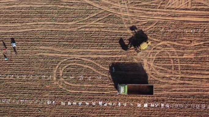 农民和农业工业拖拉机机器的鸟瞰图收割土地。工作中的世界无人机视图概念。