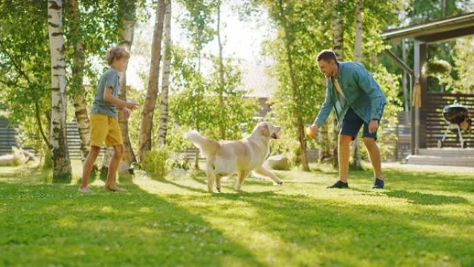 英俊的父亲和儿子与忠实的家庭朋友金毛寻回犬一起玩。家庭花时间在一起训练狗。阳光明媚的田园诗般的郊区家