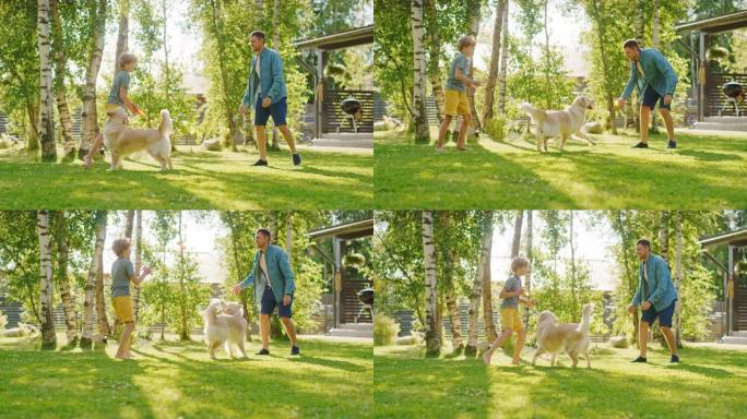 英俊的父亲和儿子与忠实的家庭朋友金毛寻回犬一起玩。家庭花时间在一起训练狗。阳光明媚的田园诗般的郊区家