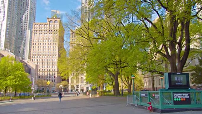 市区。城市公园里的绿树。高大的摩天大楼。宁静宁静的场景