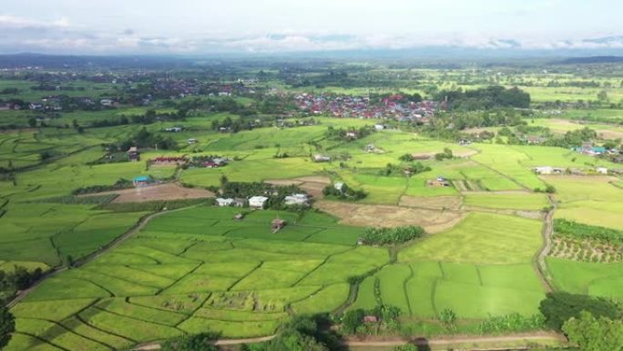 泰国南省Pua区农村稻田的鸟瞰图