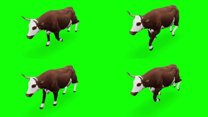 绿屏慢动作跑牛。动物的概念，野生动物，游戏，返校，3d动画，短视频，电影，卡通，有机，色键，人物动画