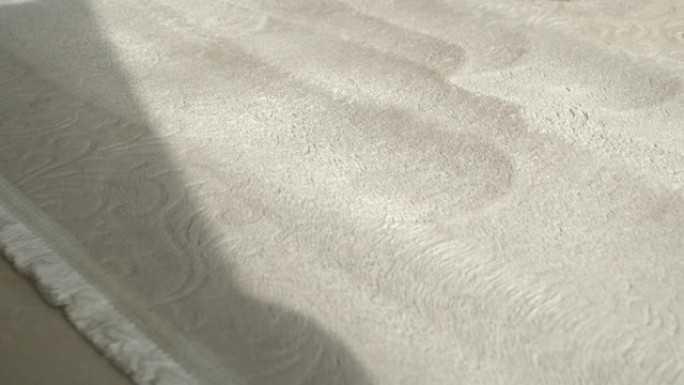 特写: 在深度清洁时使用旋转刷去除地毯上的颗粒