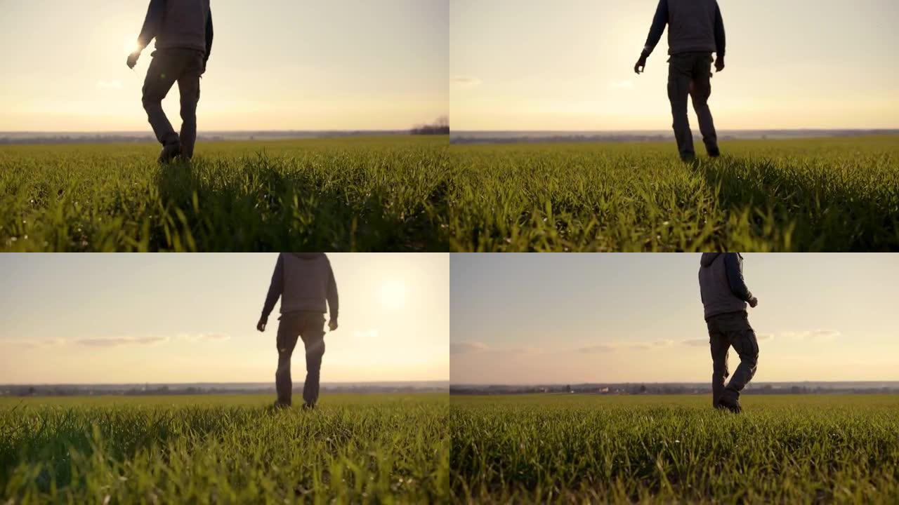 SLO MO日落时在田野上行走的农民的低角度镜头