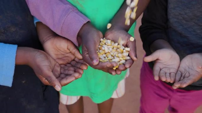 非洲的贫困。三个饥饿的非洲黑人儿童在慈善组织分发玉米时伸出双手