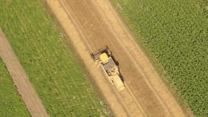 自上而下: 在收割机上方飞行，梳理田地并收集成熟的小麦。