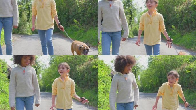 男孩和女孩与宠物法国斗牛犬一起走在乡间小路上-慢动作射击