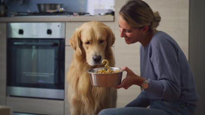 一个女人在厨房里给他一碗食物来庆祝狗生日的肖像。可爱的金毛猎犬宠物享受他的三岁生日庆祝活动