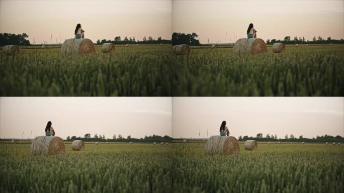 SLO MO DS年轻女子坐在一捆干草上