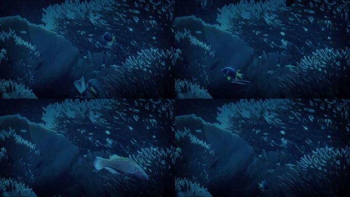 珊瑚与鱼在黑暗中游动