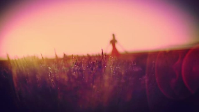 镜头耀光的女人走在田园诗，阳光薰衣草田