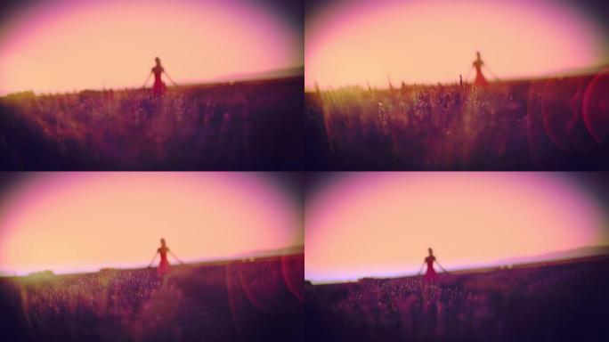 镜头耀光的女人走在田园诗，阳光薰衣草田