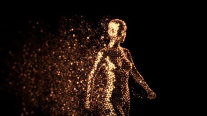 女性人体的金色多边形全息图，在黑色背景上行走。留下一丝金色粒子