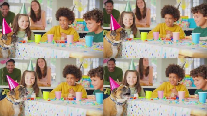 戴着派对帽的宠物狗与孩子和父母坐在生日聚会桌上