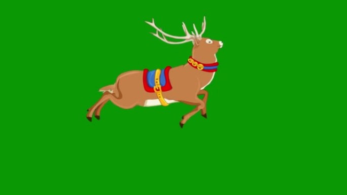 绿屏色度键 (可循环) 上的跳跃驯鹿慢动作动画。动物，卡通，快速，野生动物，游戏，返校，3d动画，电