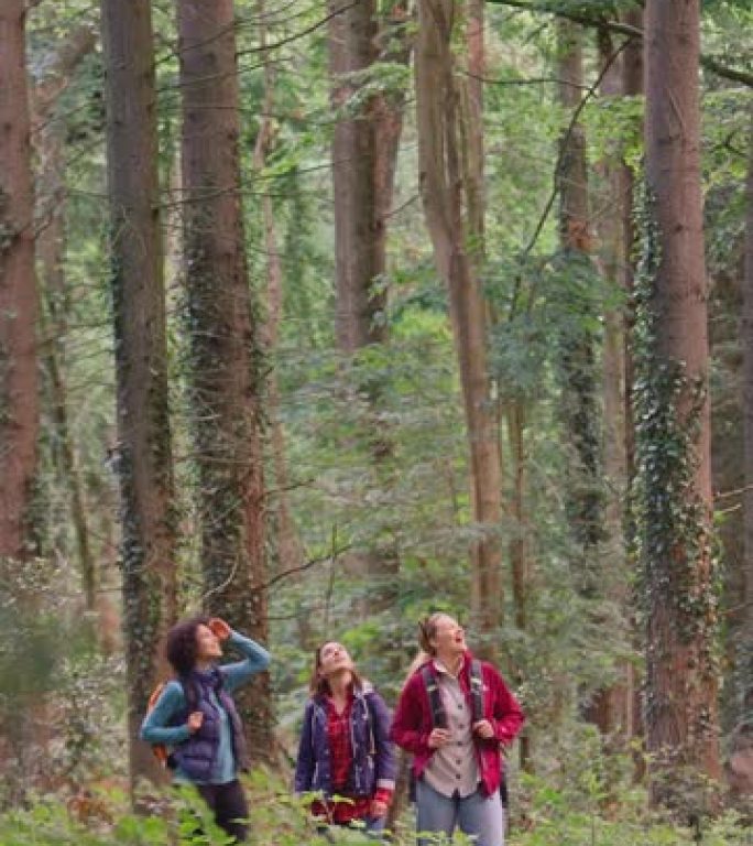 在树林里露营度假徒步旅行的女人的肖像