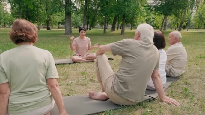 参加户外瑜伽课的老年人群