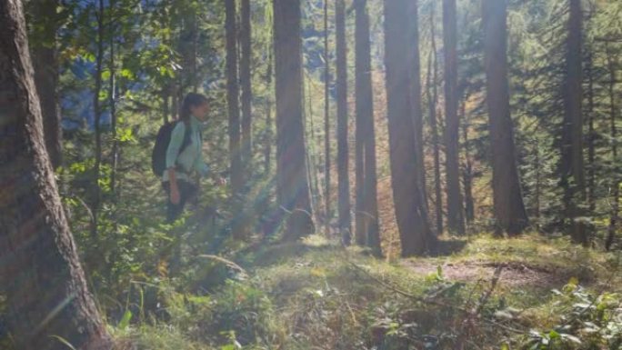 年轻的健身女性在充满活力的绿色森林徒步旅行时保持健康并获得新鲜空气