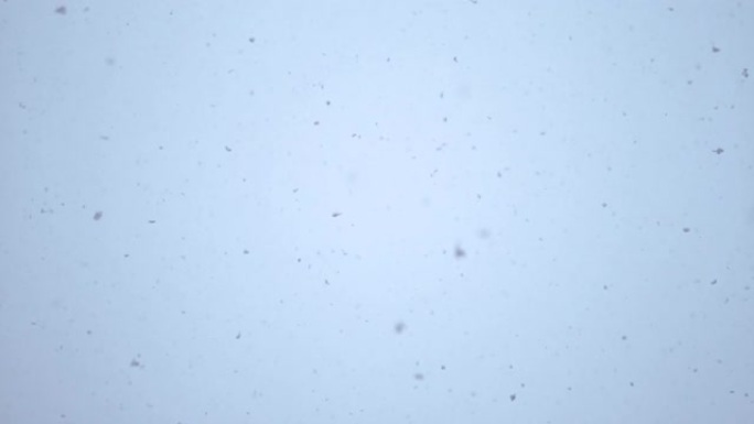 自下而上: 无数精致的白色雪花从雾蒙蒙的冬日天空落下。
