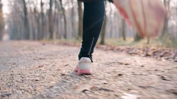 SLO MO女慢跑者在穿越秋天森林的路上在跑鞋上系鞋带