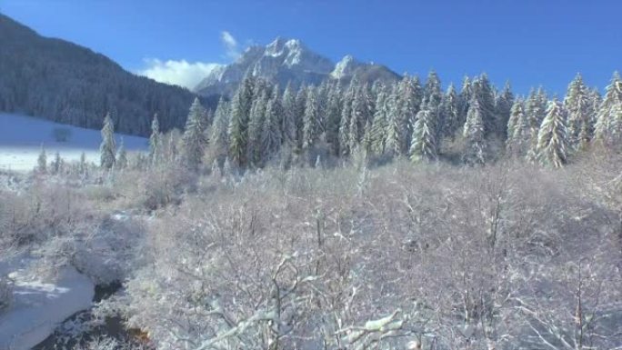 空中: 从泽伦奇的水反射飞向雪山庞塞山脉