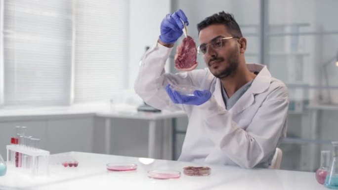科学家对实验室种植的肉进行研究