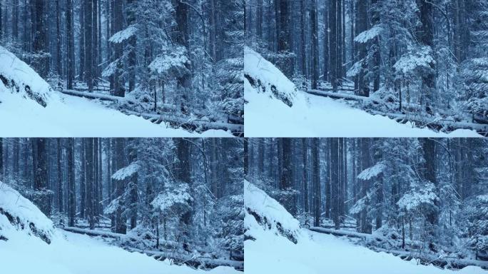 大雪中的林地路径大雪纷飞空镜头表现冬季