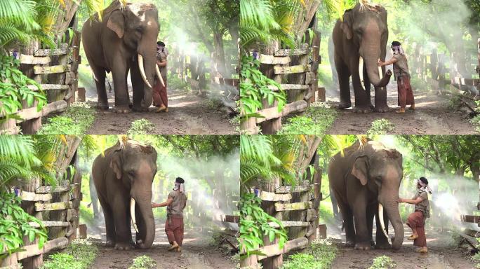 大象看守人正在乡村道路上行走大象，它代表着大象的生活方式，人类与大象的爱与纽带。