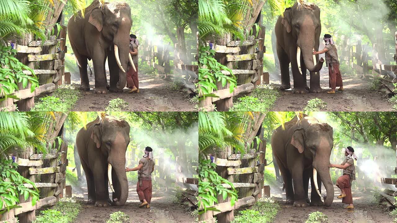 大象看守人正在乡村道路上行走大象，它代表着大象的生活方式，人类与大象的爱与纽带。