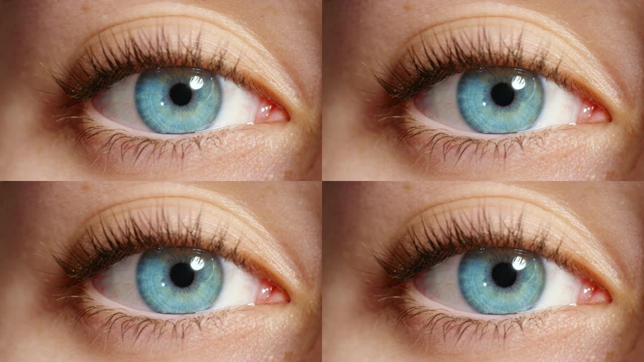 蓝眼生物识别，网络安全监视视觉和特写镜头的女性眼睛变焦角膜。自然人体视网膜解剖开放，面部识别眼球聚焦