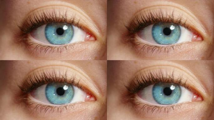 蓝眼生物识别，网络安全监视视觉和特写镜头的女性眼睛变焦角膜。自然人体视网膜解剖开放，面部识别眼球聚焦