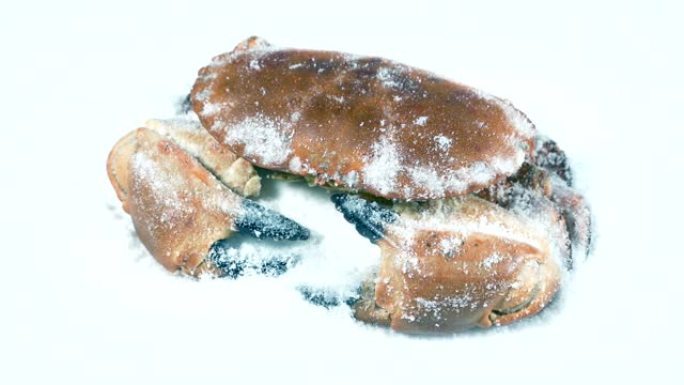 冰冻螃蟹海鲜
