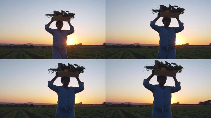 一位黑人非洲女农场主头上提着一盒美丽的新鲜采摘蔬菜的日落景色。头上负重是运输货物的一种文化方式。
