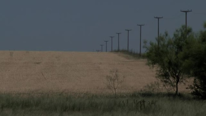 南美洲阿根廷恩特雷里奥斯省的大豆田和电力线。
