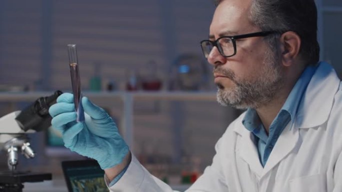 成熟专业基因工程师观察装有小苗木的烧瓶