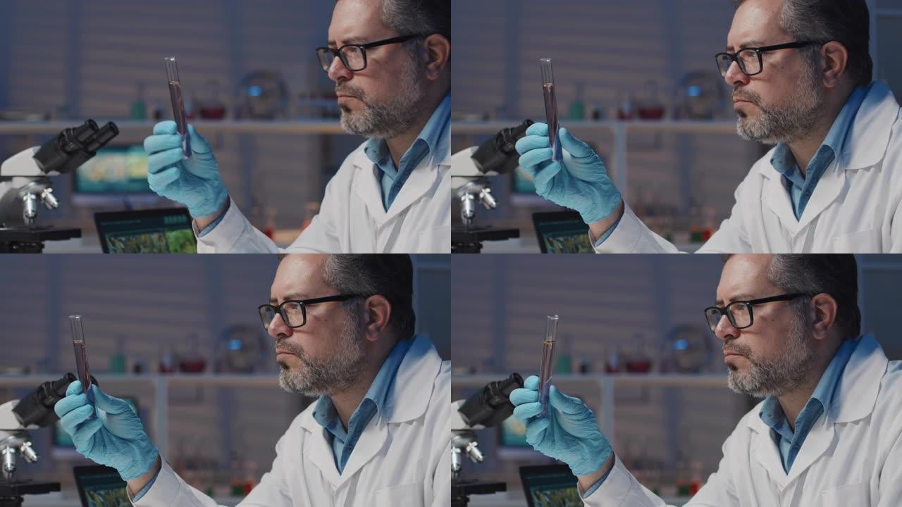 成熟专业基因工程师观察装有小苗木的烧瓶