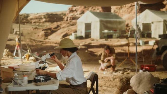 考古挖掘地点: 伟大的女性考古学家从事文化研究，发现古代文明历史文物，发掘地点的化石遗骸，并在显微镜