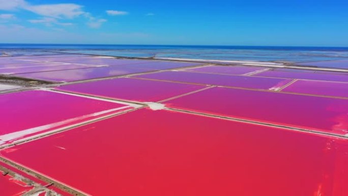 无人机的观点充满活力的粉红色盐滩沿着阳光明媚的海洋