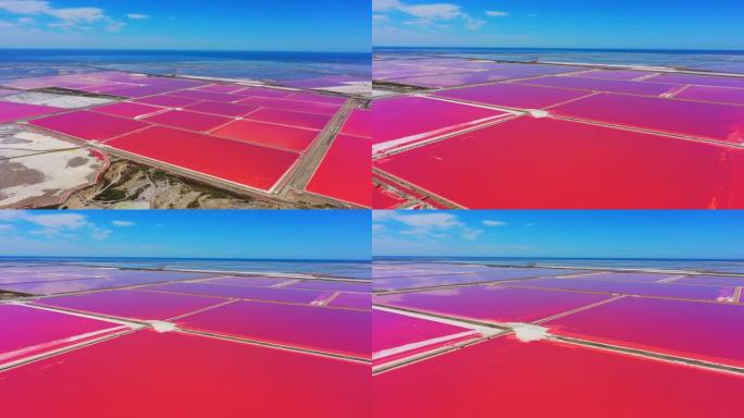 无人机的观点充满活力的粉红色盐滩沿着阳光明媚的海洋