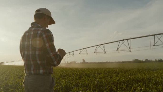 SLO MO Farmer站在玉米灌溉地中间时使用智能手机