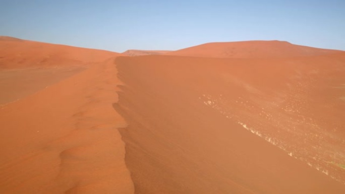 WS Deadvlei沙丘，纳米比亚，非洲
