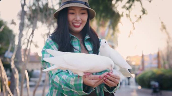 日落时喂鸽子的年轻妇女